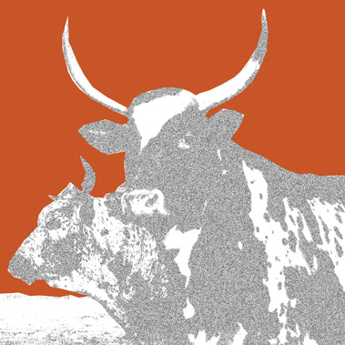InHabit Nguni Cow and Bull Print S0017